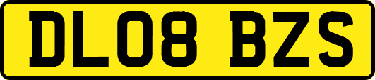 DL08BZS