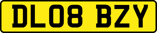 DL08BZY