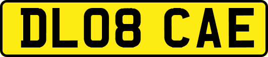 DL08CAE