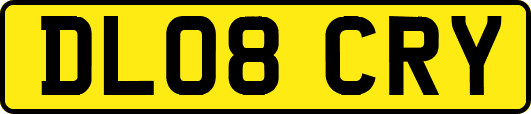 DL08CRY