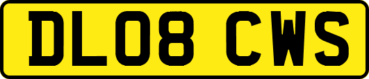 DL08CWS
