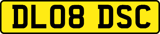 DL08DSC