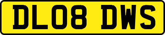 DL08DWS