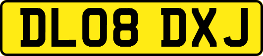 DL08DXJ