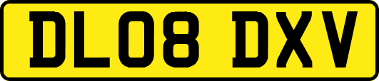 DL08DXV