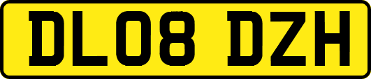 DL08DZH