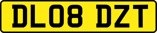 DL08DZT