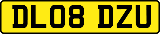 DL08DZU