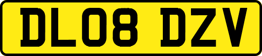 DL08DZV