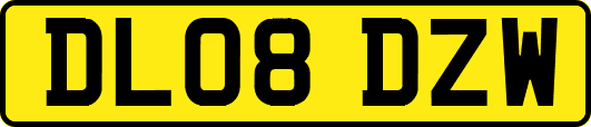 DL08DZW