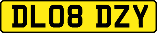 DL08DZY
