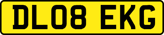 DL08EKG