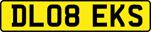 DL08EKS