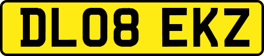 DL08EKZ