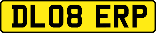 DL08ERP