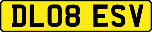 DL08ESV
