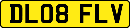 DL08FLV