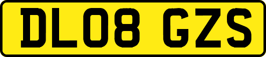 DL08GZS