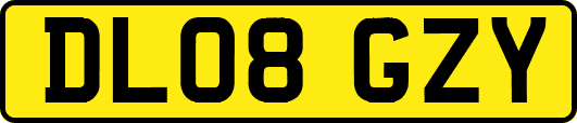 DL08GZY