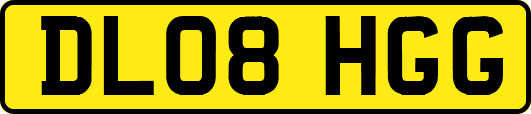 DL08HGG