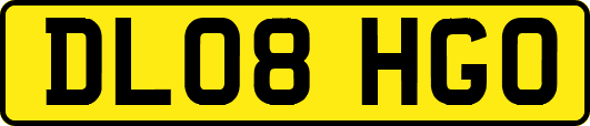 DL08HGO