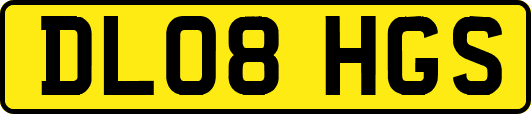 DL08HGS