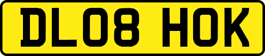 DL08HOK