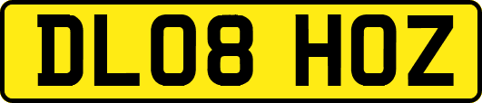 DL08HOZ