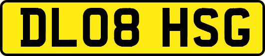 DL08HSG