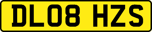 DL08HZS
