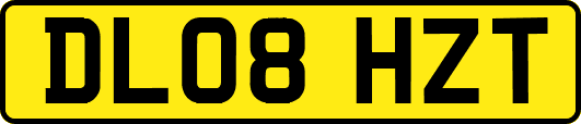 DL08HZT