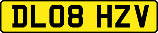 DL08HZV