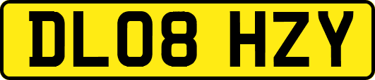 DL08HZY