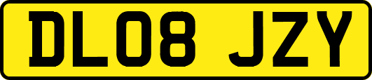 DL08JZY