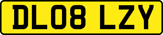 DL08LZY