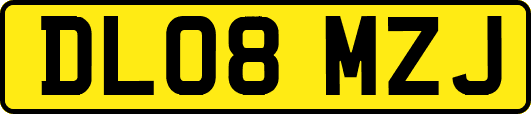 DL08MZJ