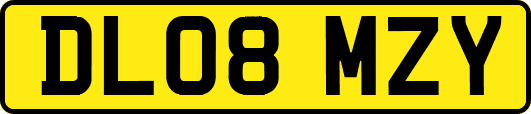 DL08MZY