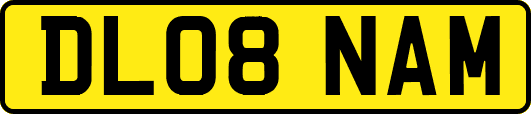 DL08NAM