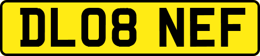 DL08NEF