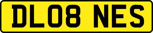 DL08NES