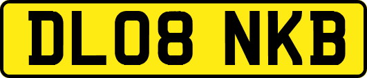 DL08NKB