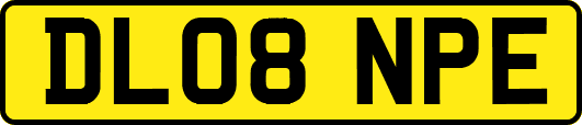 DL08NPE