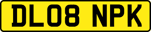 DL08NPK
