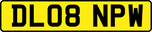 DL08NPW