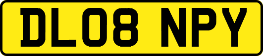 DL08NPY
