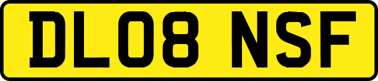 DL08NSF