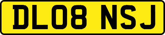 DL08NSJ