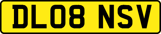 DL08NSV