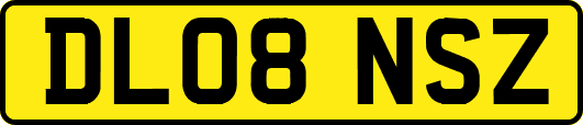 DL08NSZ