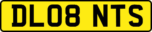 DL08NTS